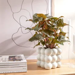 Butlers BUBBLE Blumentopf- Blumentöpfe & Übertöpfe