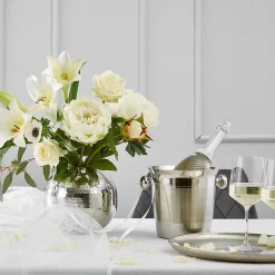 Butlers CHAMPAGNE Flaschenkühler- Aufbewahrungsgläser
