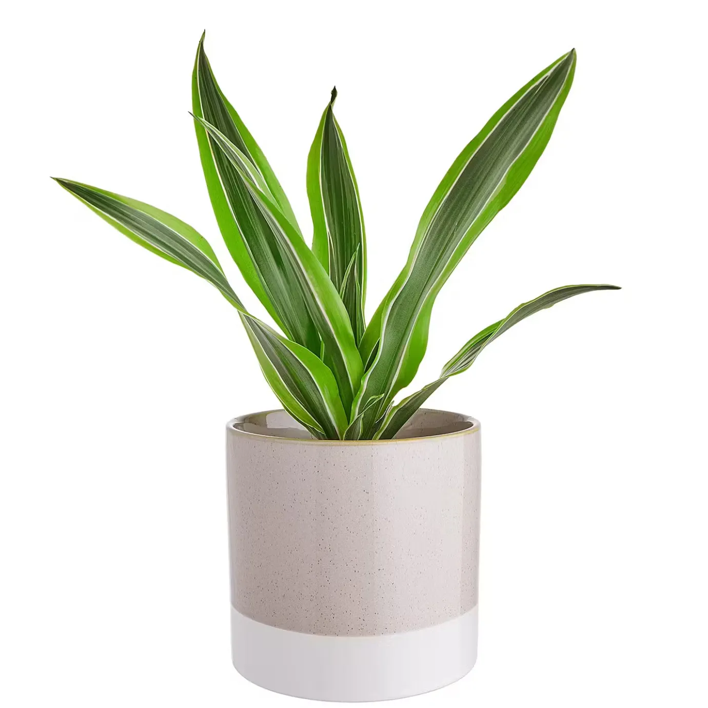 Butlers EARLY SPRING Blumentopf 4er-Set- Blumentöpfe & Übertöpfe