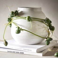 Butlers FINJA Blumentopf Vase- Blumentöpfe & Übertöpfe
