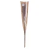 Butlers FLOWER MARKET Trockenblumen- Kunstpflanzen|Trockenblumen