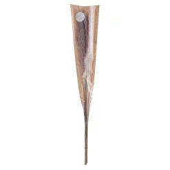 Butlers FLOWER MARKET Trockenblumen- Kunstpflanzen|Trockenblumen