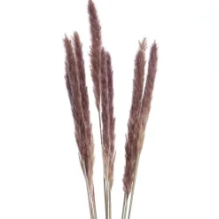 Butlers FLOWER MARKET Trockenblumen- Kunstpflanzen|Trockenblumen