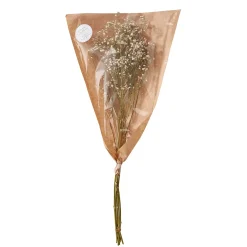 Butlers FLOWER MARKET Trockenblume 4er-Set- Kunstpflanzen|Trockenblumen