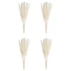 Butlers FLOWER MARKETTrockenblume Mini-Pampasgras 6er-Set- Kunstpflanzen|Trockenblumen