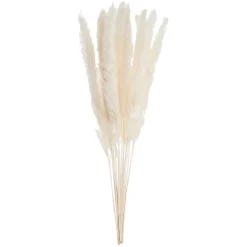 Butlers FLOWER MARKETTrockenblume Mini-Pampasgras 6er-Set- Kunstpflanzen|Trockenblumen
