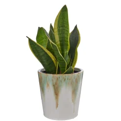Butlers GRADIENT Blumenübertopf- Blumentöpfe & Übertöpfe