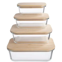 Butlers NATURALS Lunchbox 4er-Set- Aufbewahrungsdosen