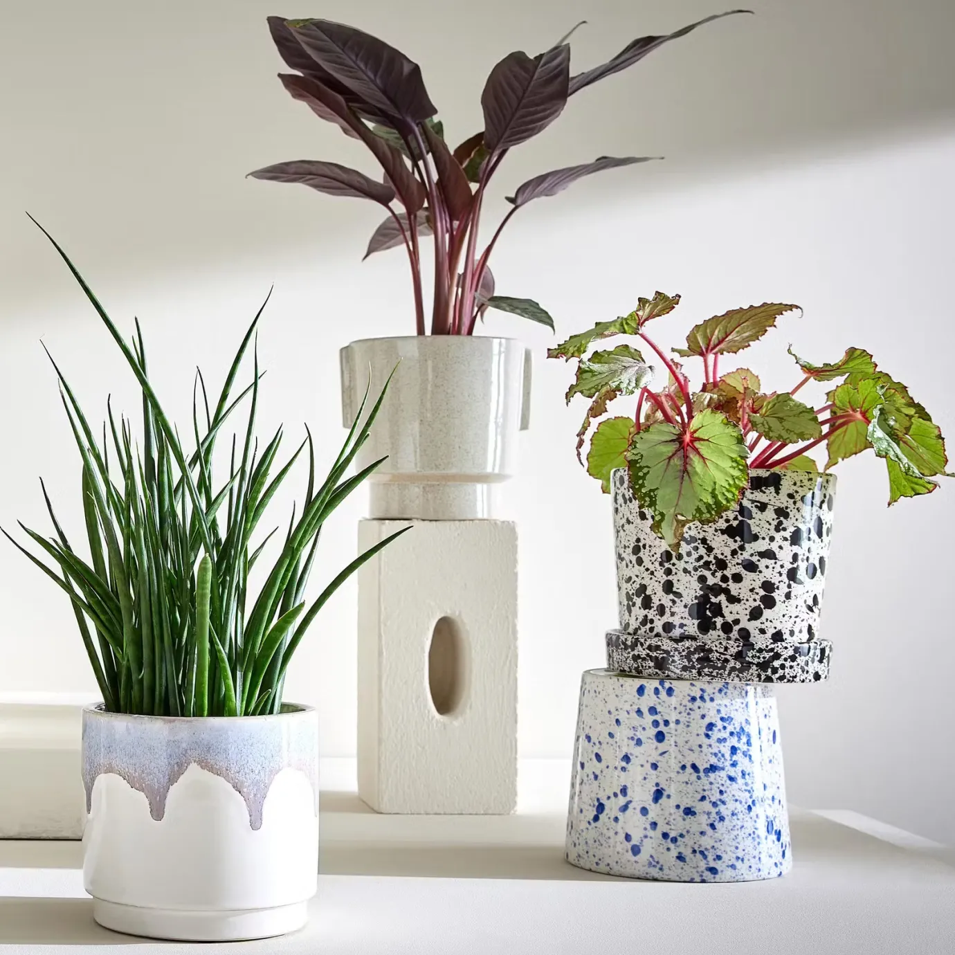 Butlers SPLASH Blumenübertopf mit Teller- Blumentöpfe & Übertöpfe