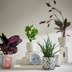 Butlers SPLASH Blumenübertopf mit Teller- Blumentöpfe & Übertöpfe